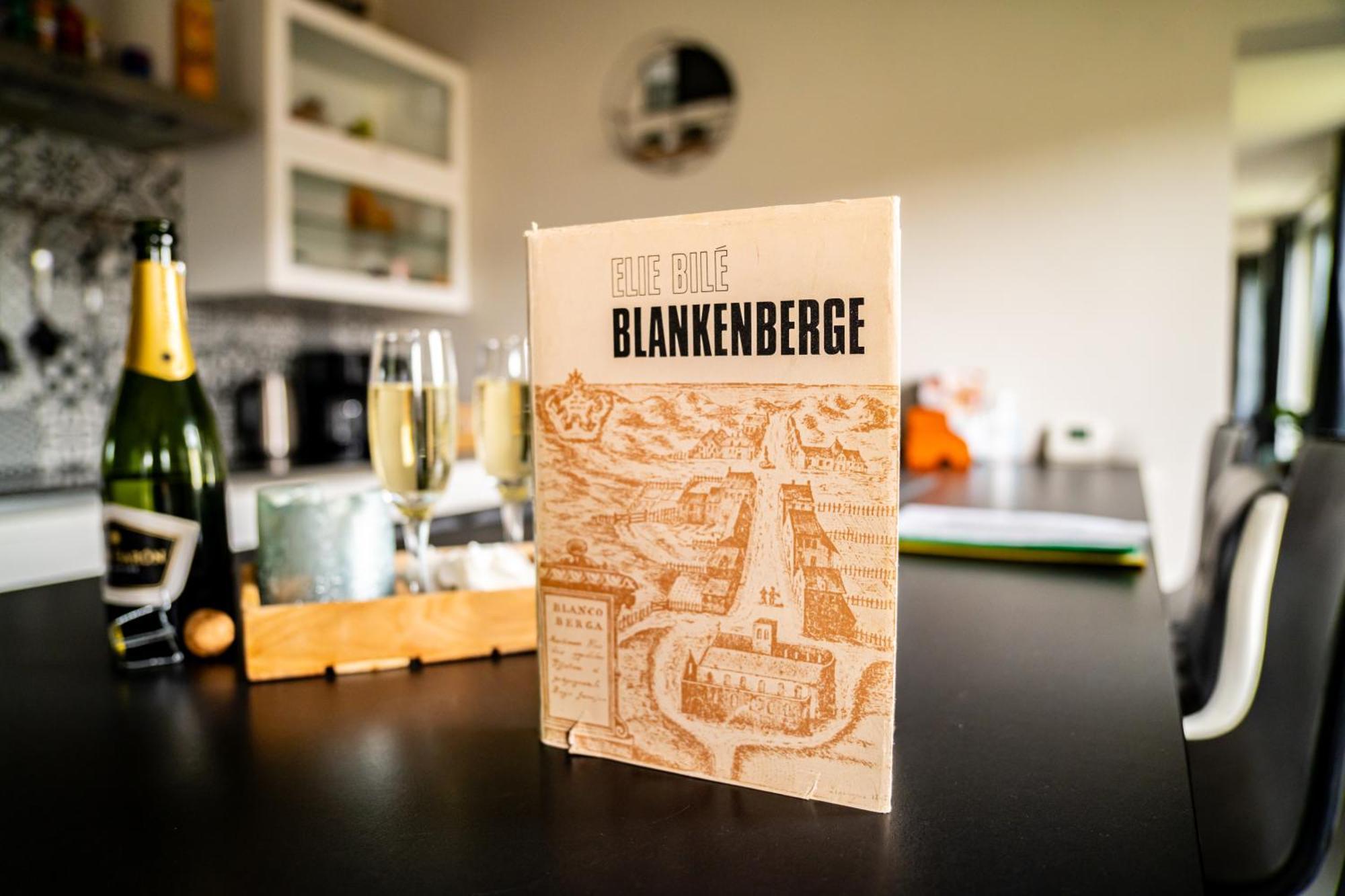 Oase 'T Huyseke Villa Blankenberge Eksteriør bilde